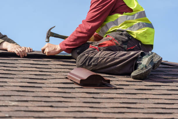 Best Flat Roof Repair Services  in Tracy, MN