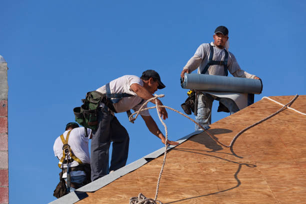 Roof Gutter Cleaning in Tracy, MN