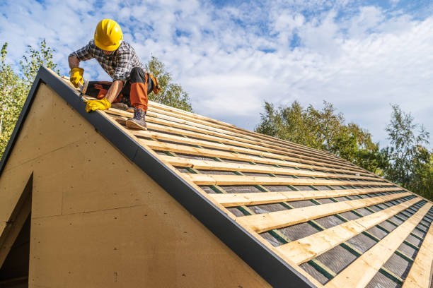 Best Roof Gutter Cleaning  in Tracy, MN