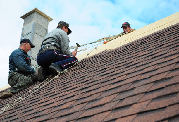Best Gutter Installation and Roofing  in Tracy, MN