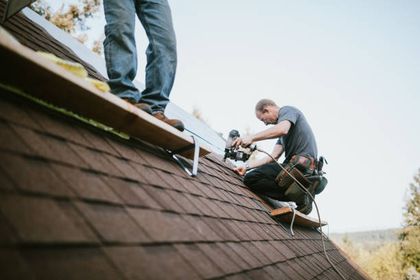 Roof Gutter Cleaning in Tracy, MN